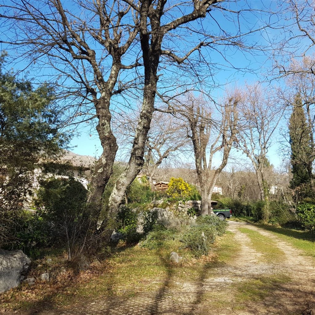 Notre chantier en JUIN