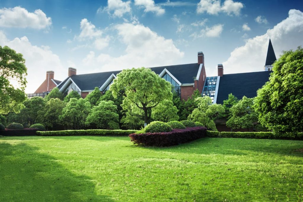 Nature Espaces Paysages : L'Art de la Coupe des Plantes Grasses