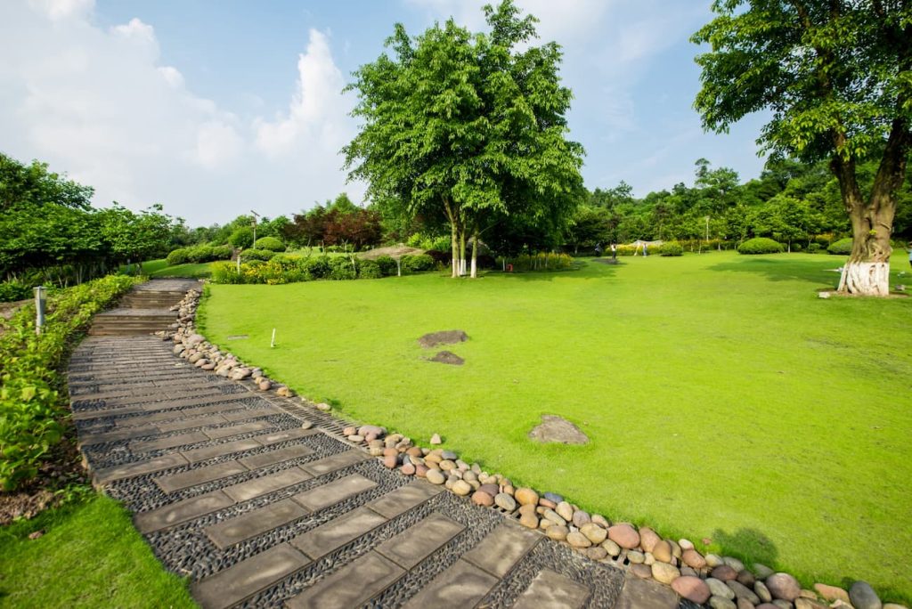 Aménagement Jardin à Grasse : Votre Oasis de Verdure avec Nature Espace Paysage
